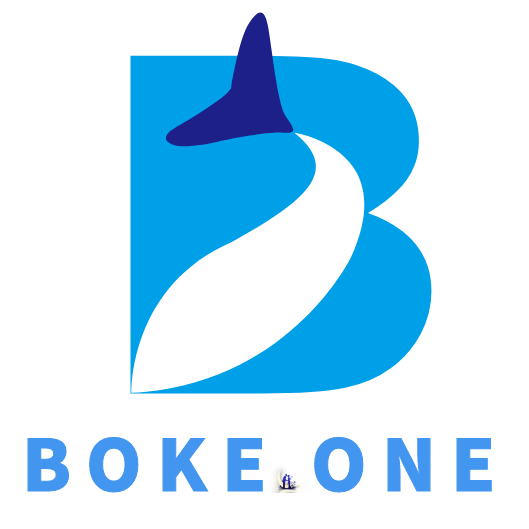 域名:Boke.One - 未知岛